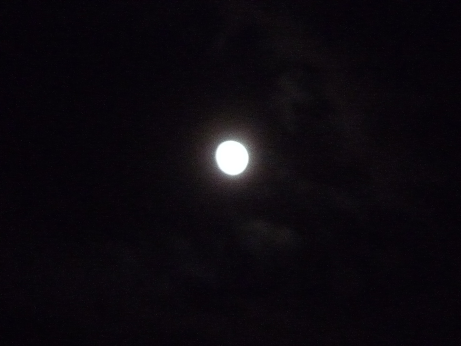 b0141664_1233431.jpg