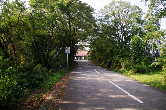 a0196565_1994674.jpg