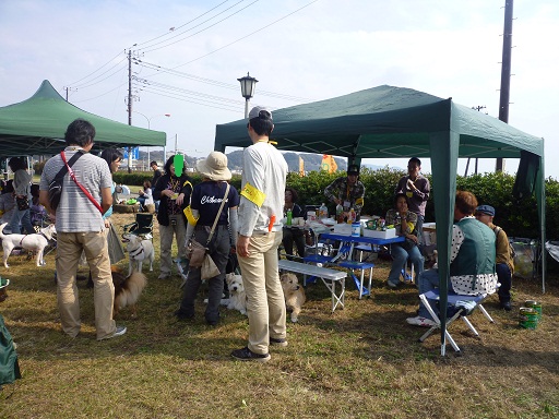d0004968_15213750.jpg