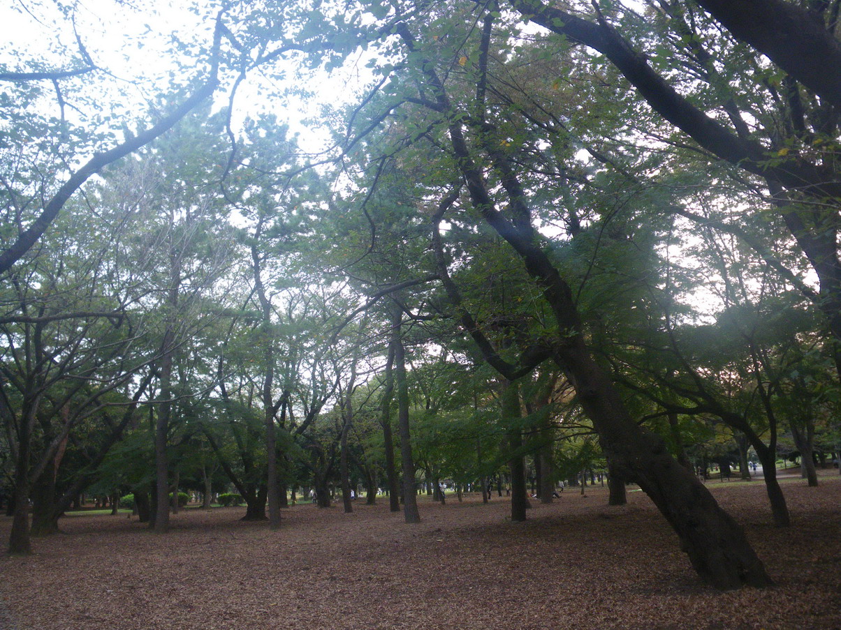 f0157268_1991622.jpg