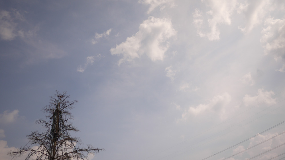 f0184668_1712792.jpg