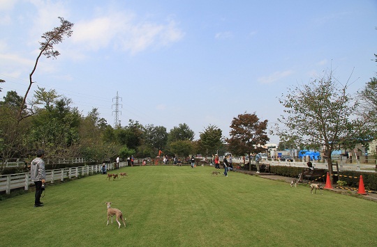 e0062371_20184314.jpg