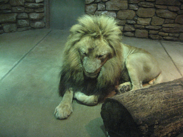 d0197976_962057.jpg