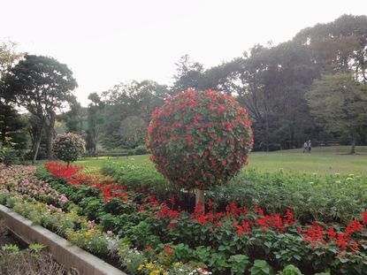 d0082980_22422630.jpg