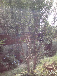 b0206784_10562694.jpg