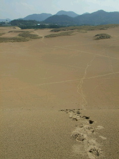 d0162684_23565683.jpg