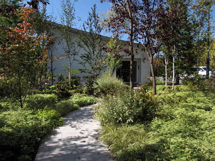 d0234484_1362513.jpg
