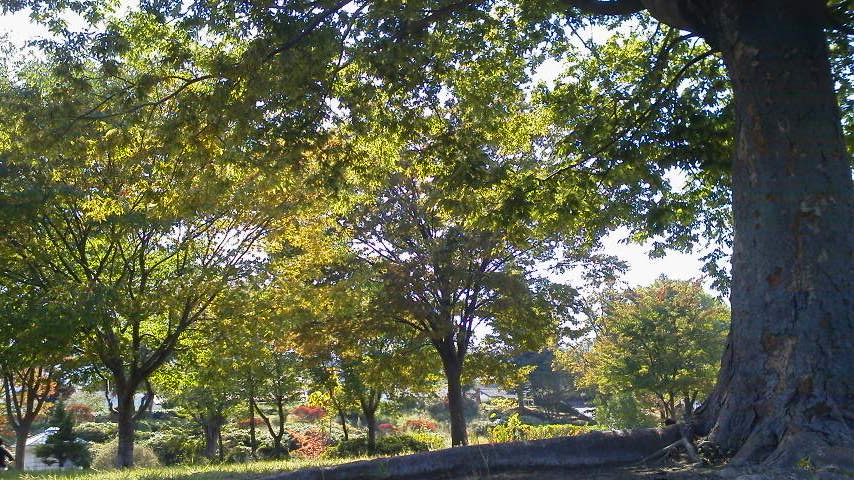 a0130285_19372623.jpg