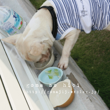 b0180085_21234339.gif