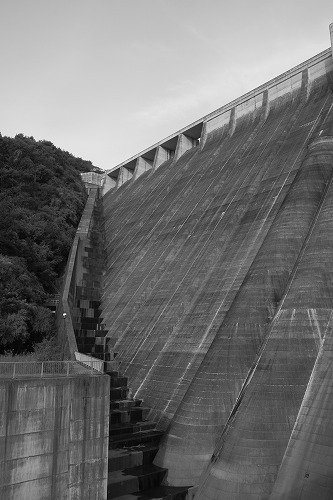 b0119493_20262595.jpg