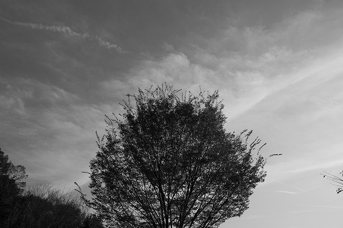 b0119493_8374923.jpg