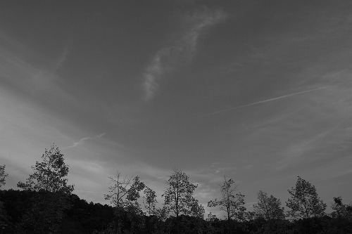 b0119493_8423360.jpg