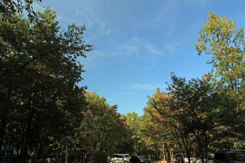 b0151893_1746103.jpg
