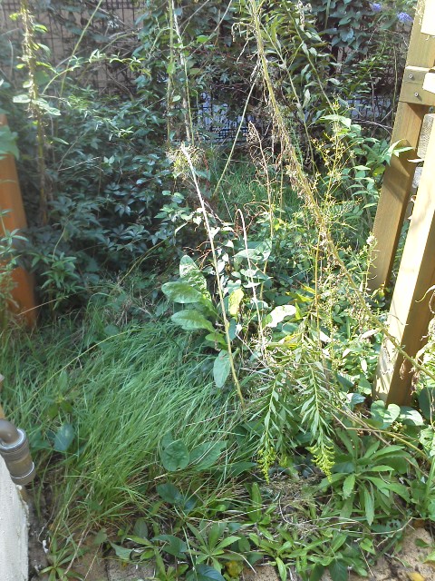 c0095693_2151589.jpg