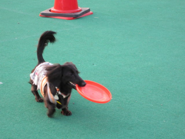 d0098295_0123019.jpg