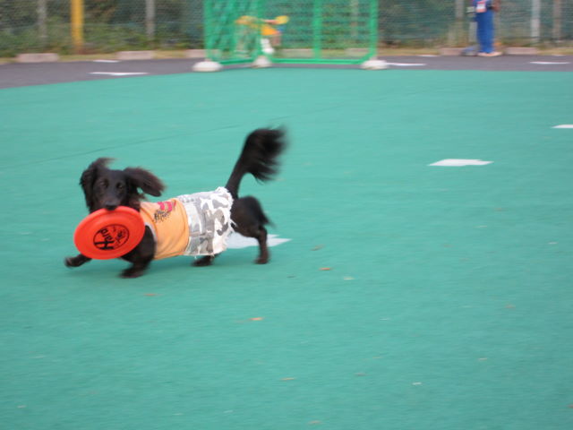 d0098295_0125635.jpg