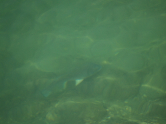 f0213796_1491524.jpg