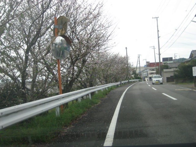 a0193698_2121171.jpg