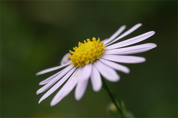 e0189298_2120147.jpg