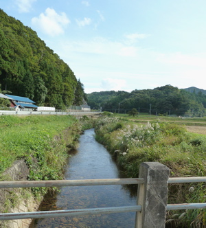 f0146198_1353568.jpg