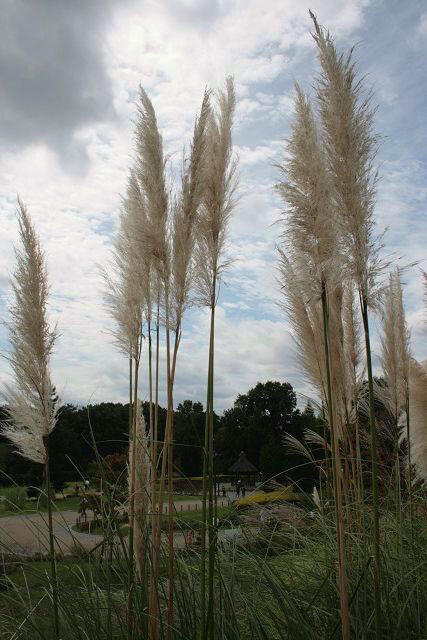 f0083400_21565952.jpg