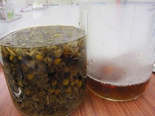 c0152002_1844347.jpg