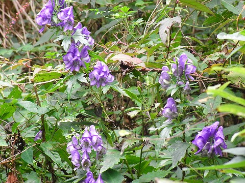 f0187402_22293329.jpg
