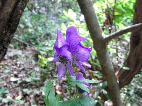 f0187402_22295956.jpg