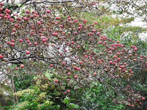 f0187402_22301097.jpg