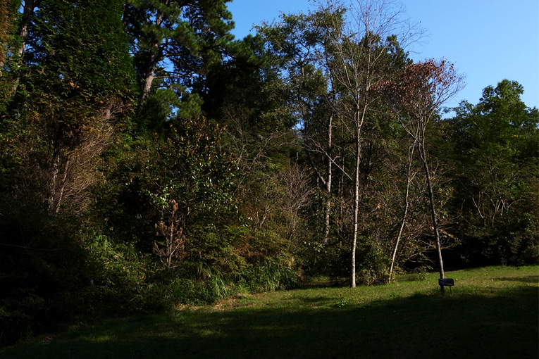 c0102003_18271983.jpg