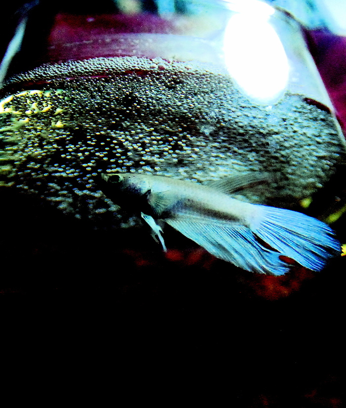 a0157704_2482370.jpg