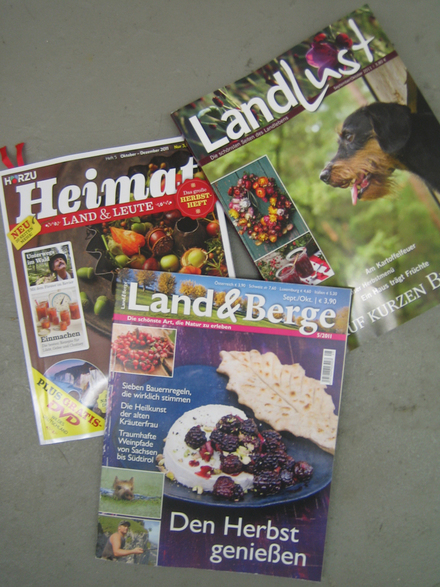 e0211204_0532526.jpg