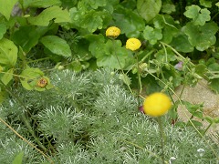 c0190010_20173319.jpg
