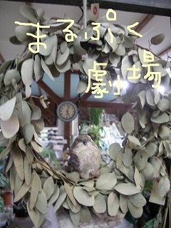 c0190010_20294378.jpg