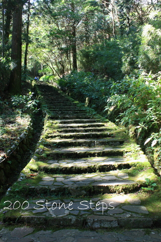 d0077811_2324446.jpg