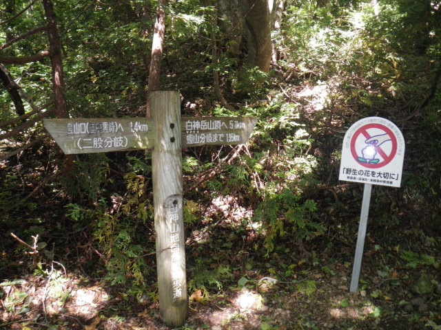 d0006512_22291223.jpg