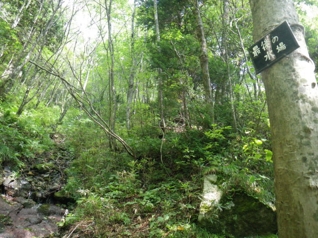d0006512_22292646.jpg