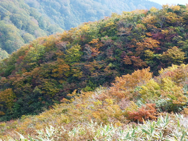 d0170615_8315152.jpg