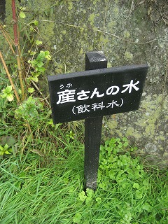 f0139520_15375147.jpg