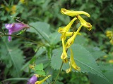 f0139520_15415888.jpg