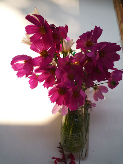 c0172724_20313141.jpg