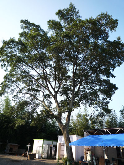 c0172724_20563160.jpg