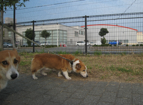 e0077528_2010464.jpg