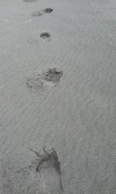 e0105130_1493375.jpg