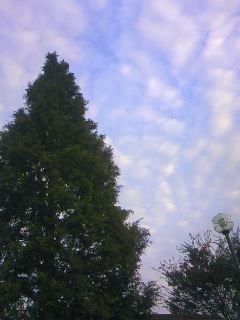 e0142430_23204098.jpg