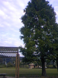 e0142430_2329192.jpg