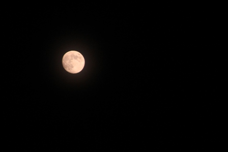 a0205834_21445575.jpg