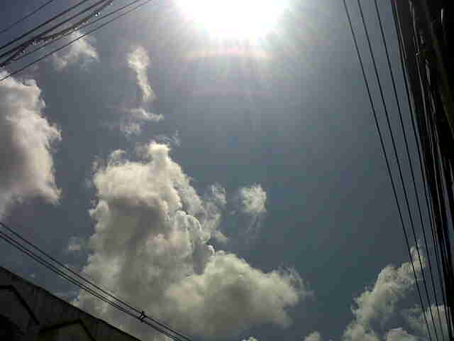 f0001835_1214441.jpg