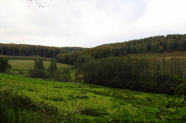 c0153740_2553914.jpg
