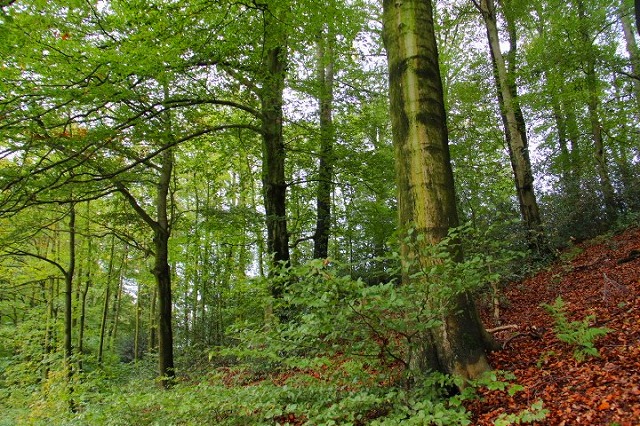 c0153740_2565857.jpg